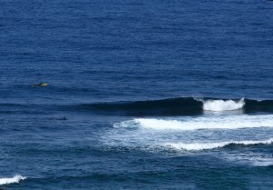 奄美大島サーフトリップ