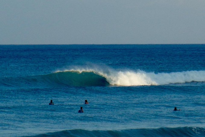 奄美大島波情報
