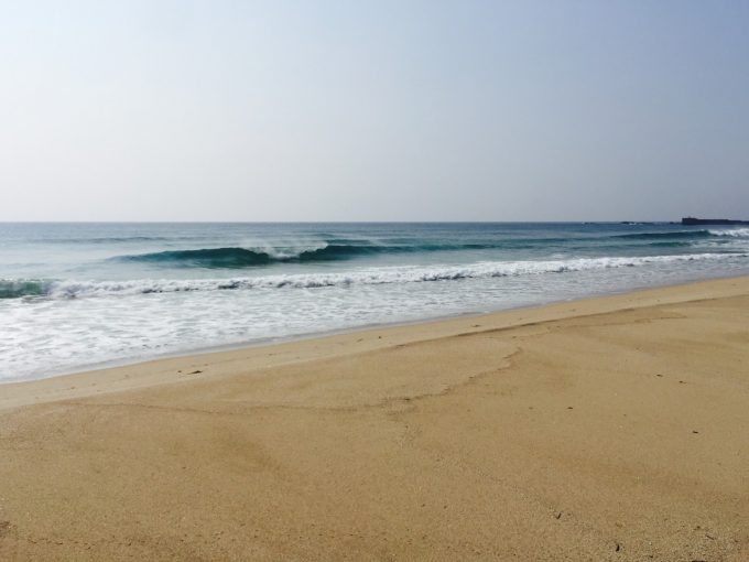 台風4号からの贈り物~種子島~