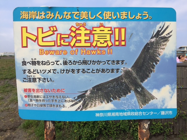 サーフィンルール