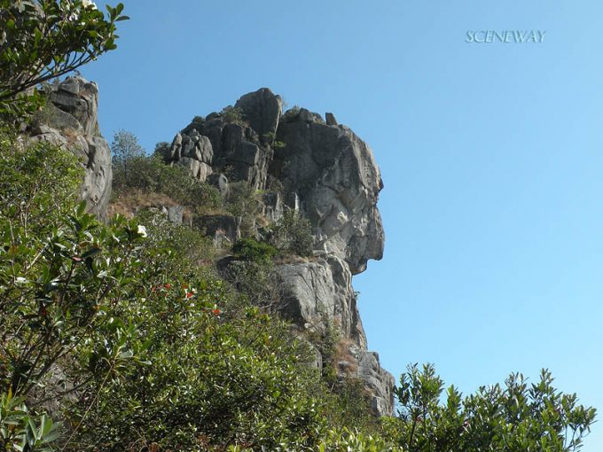 台風ライオンロック直撃