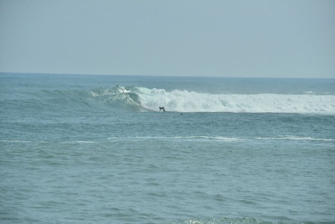 台風22号種子島サーフトリップ