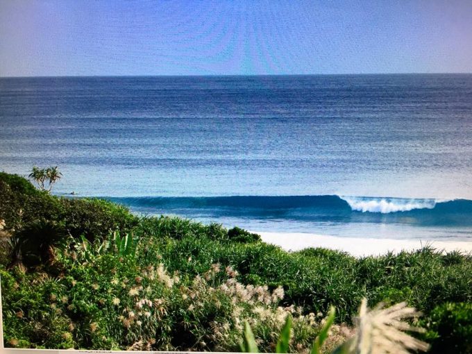 15037166_1132003676915826_3394165578031847328_n