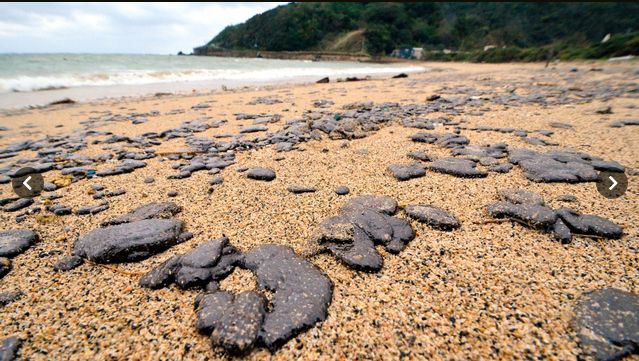 奄美大島へのオイル