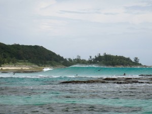 ～夏至南風～奄美大島サーフトリップ