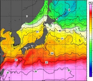 熱帯低気圧発生中