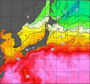 越境台風12号ハロラ