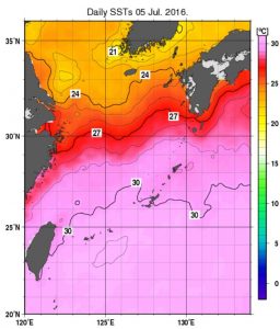 台風1号ニパルタック