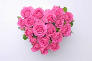 台風5号薔薇薔薇